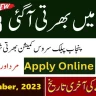New Govt Jobs Punjab Pakistan At PPSC Jobs Punjab Public Service Commission