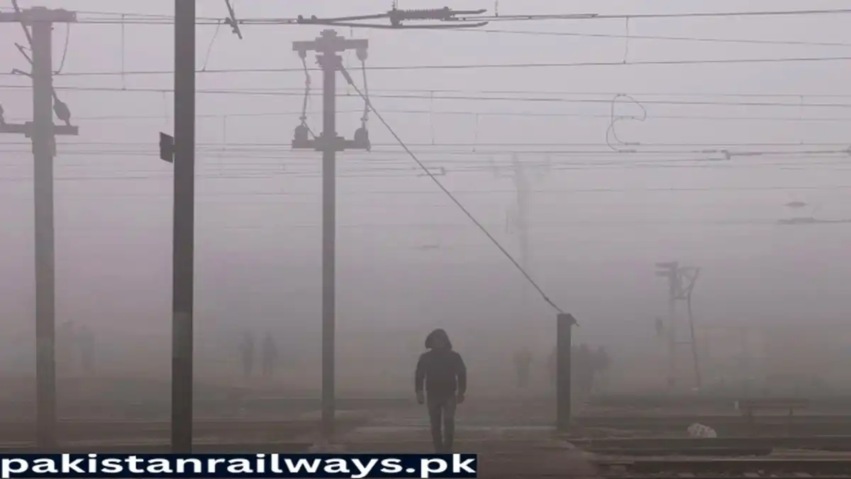 Train Services Disrupted by Persistent Fog