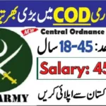 Government Jobs In Lahore Today For LDC