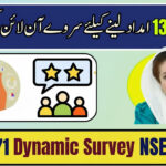 Step-by-Step Guide to 8171 Dynamic Survey NSER 2026